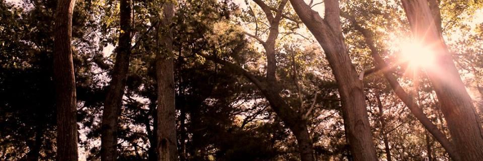 WalterJVarela's profile banner image