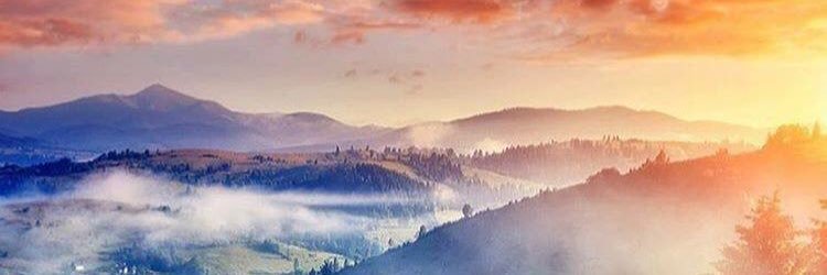 quahms's profile banner image