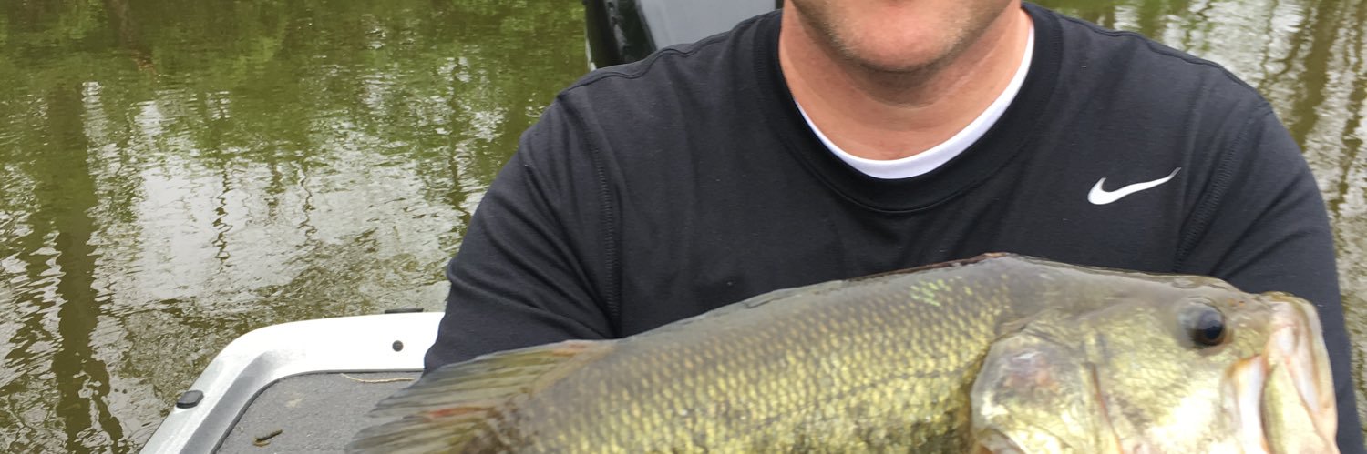 Kurt Godlevske banner