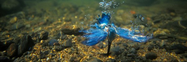 TakedaShinichi Profile Banner