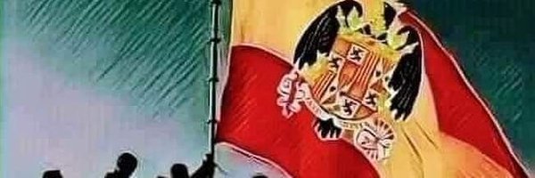 anselmo61116025 Profile Banner