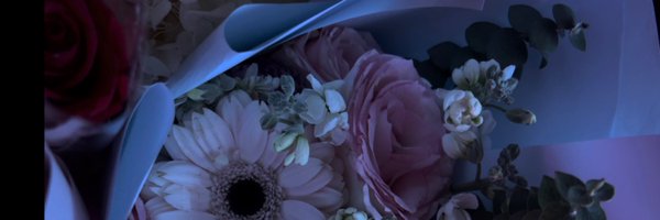 sinidvs Profile Banner