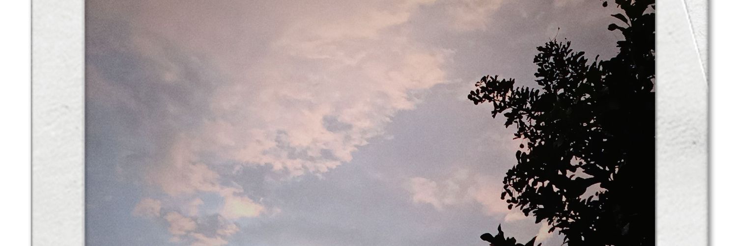 random:) banner