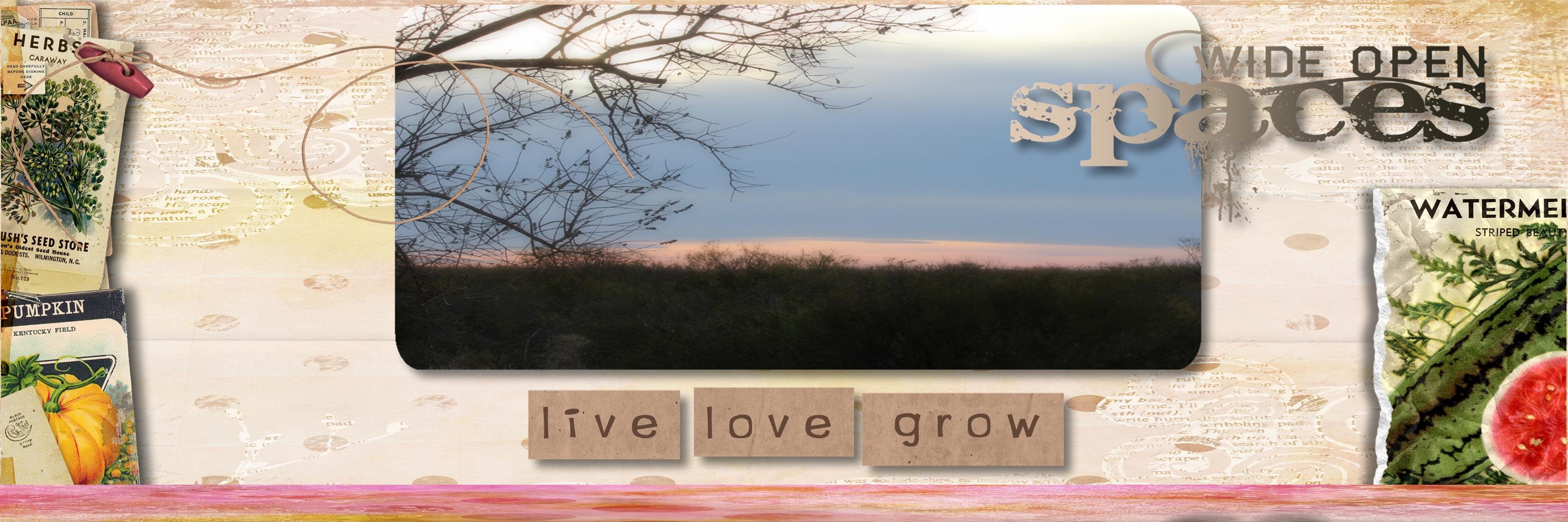 teriboop's profile banner image