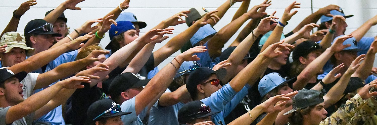 Wenatchee Valley College Athletics banner