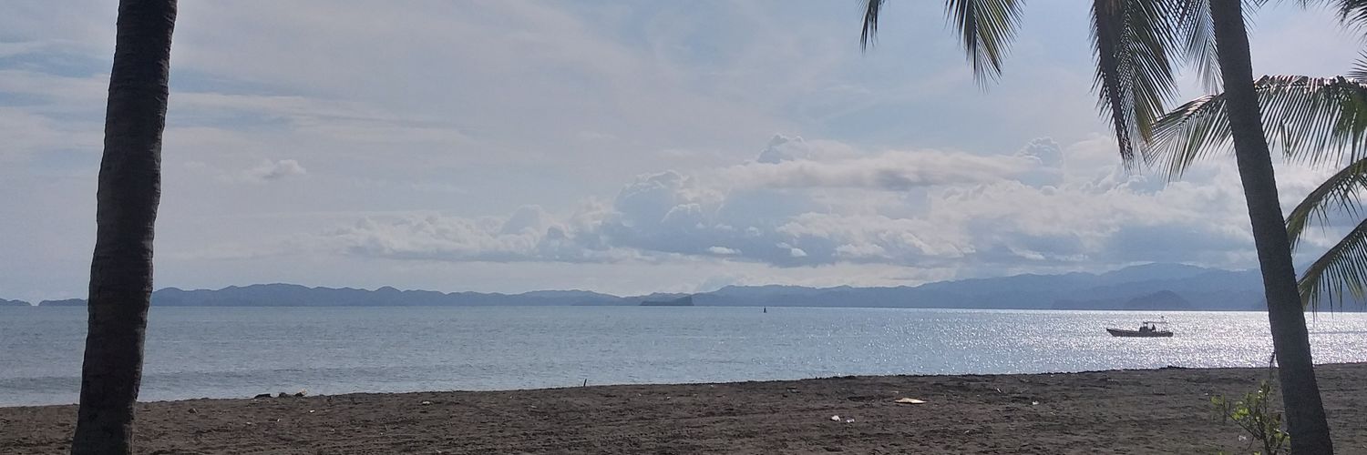 despmx's profile banner image