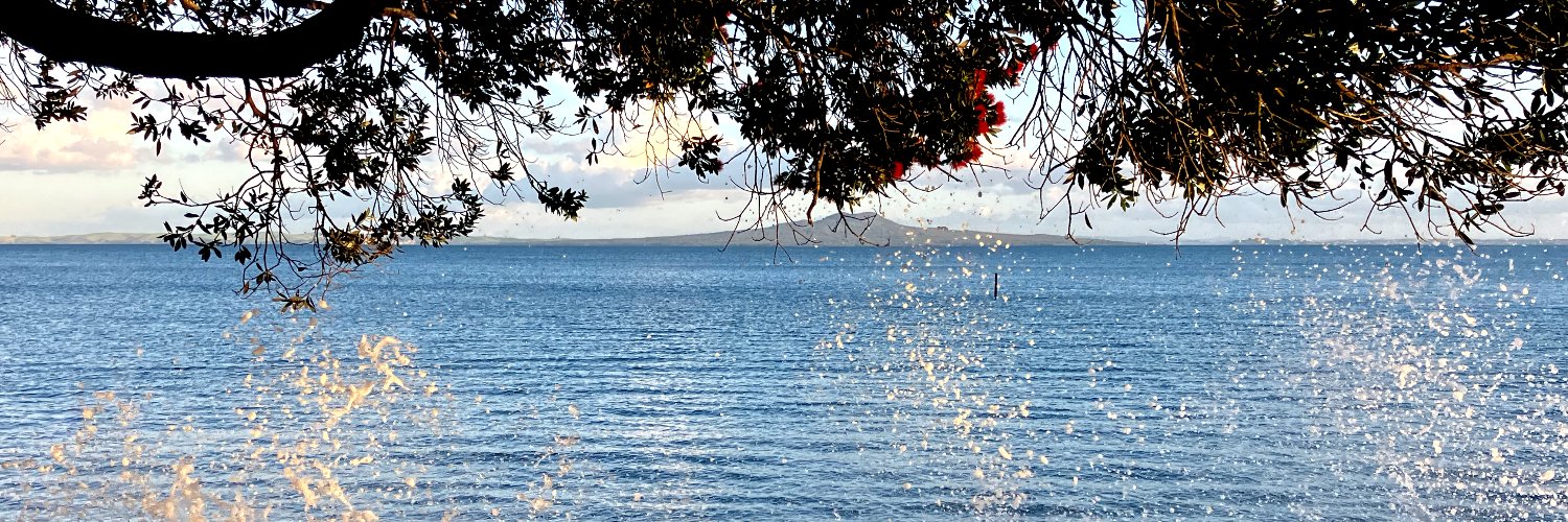 sfrielick's profile banner image