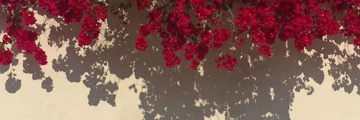 . banner