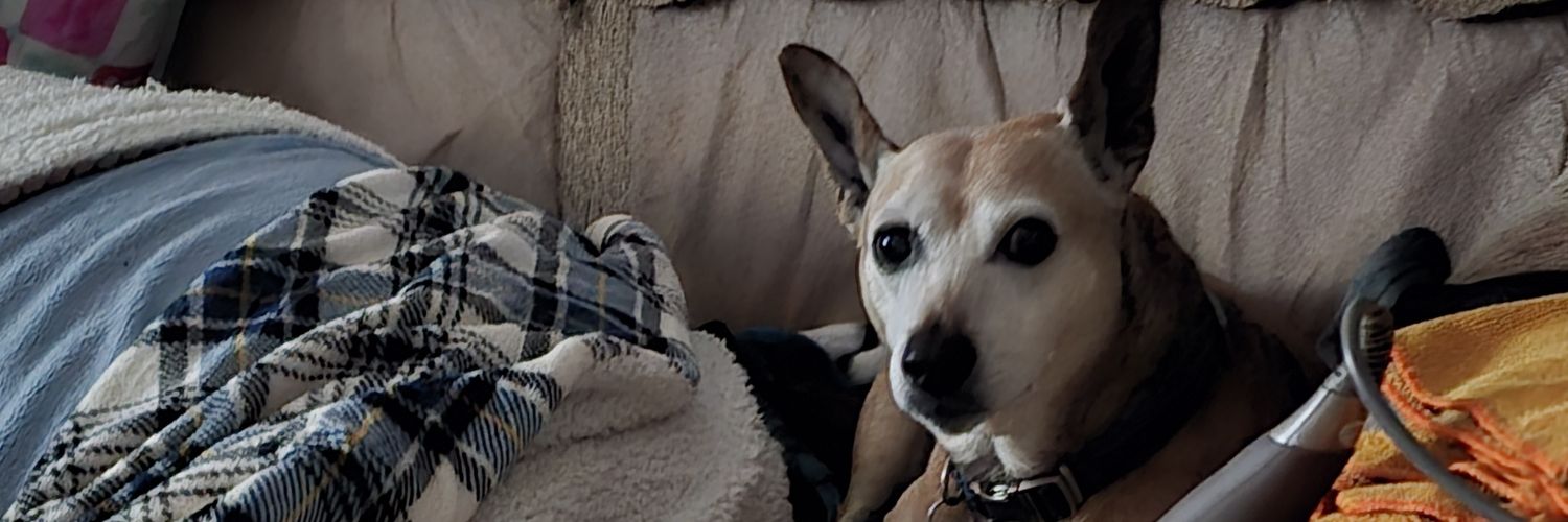 🇺🇲Gas Station Sushi (Antifa) 🇺🇸🏳️‍🌈🏳️‍⚧️ banner