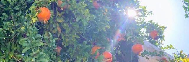 TontonMeudon's profile banner image