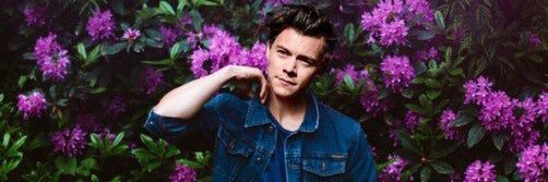 harrysmoonstone's profile banner image
