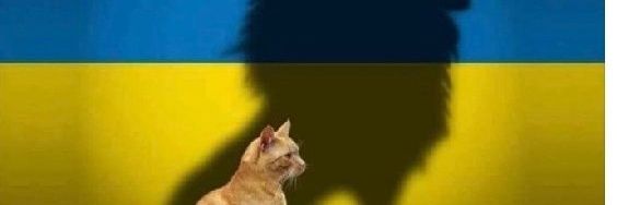 rayanvar's profile banner image