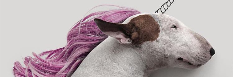 mantsssss's profile banner image