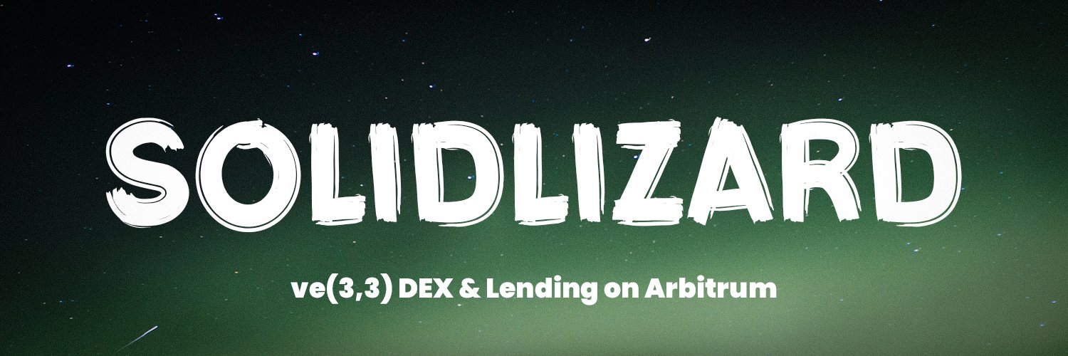SolidLizard (💙,🧡) banner