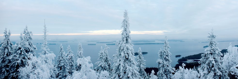 ChrisSak's profile banner image