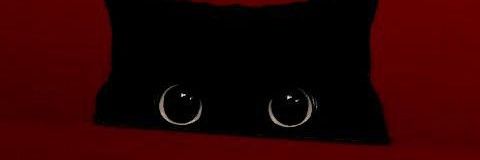 airam_mtts's profile banner image