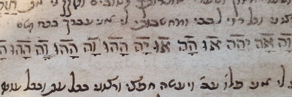 nitzan_shalev Profile Banner