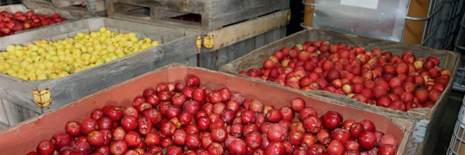 Flat Rock Ciderworks banner