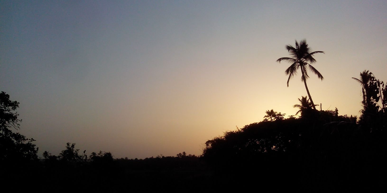 rdiukar's profile banner image