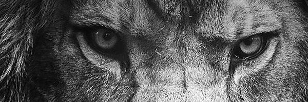 CoachKi Profile Banner
