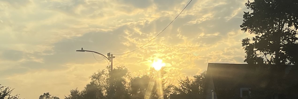 gottdamnjo's profile banner image