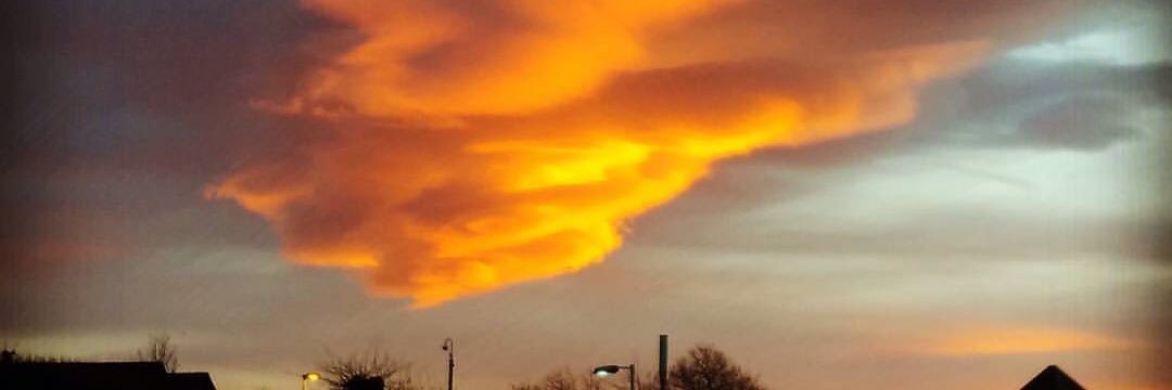 Dylan Williams banner