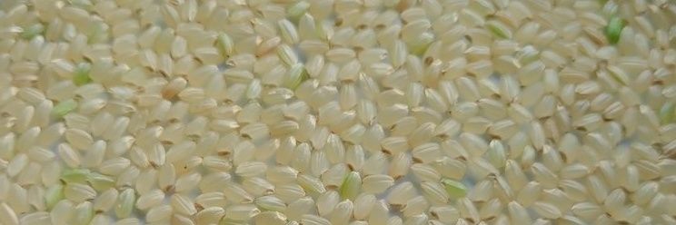 農家になりたいリセちゃん banner