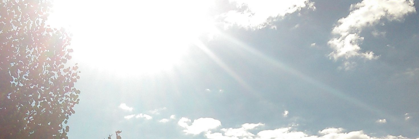 KWiskemann's profile banner image