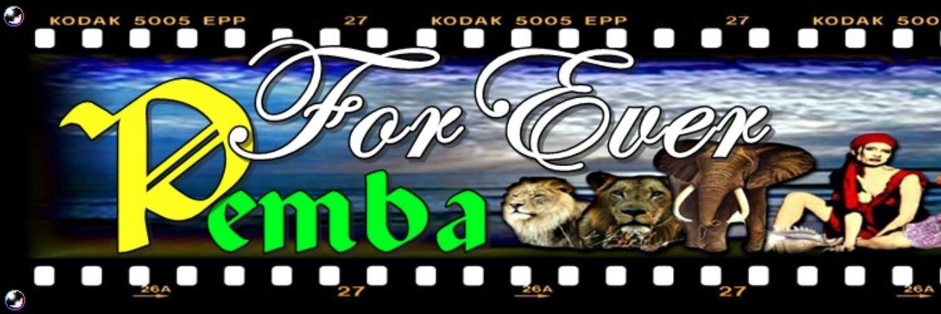 foreverpemba's profile banner image
