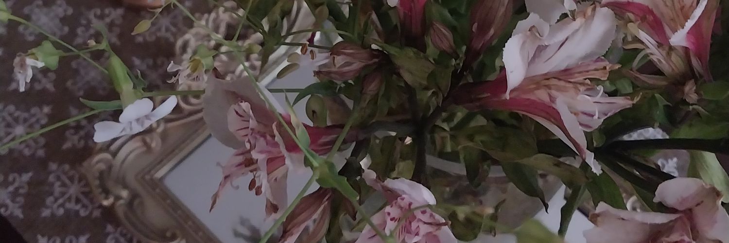 httphaikyuu's profile banner image