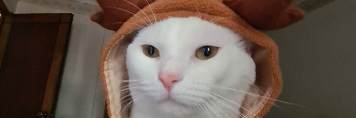 DerekM0413's profile banner image