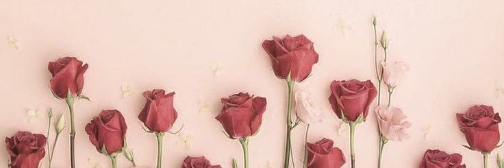 ze_fa_nya's profile banner image
