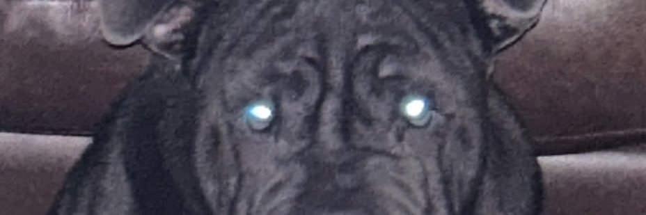 Azarz_'s profile banner image