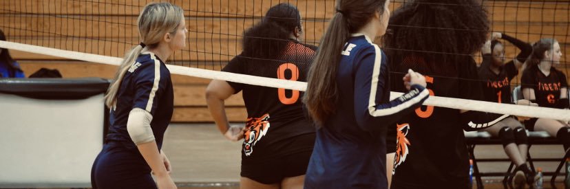 Katienkaufman's profile banner image