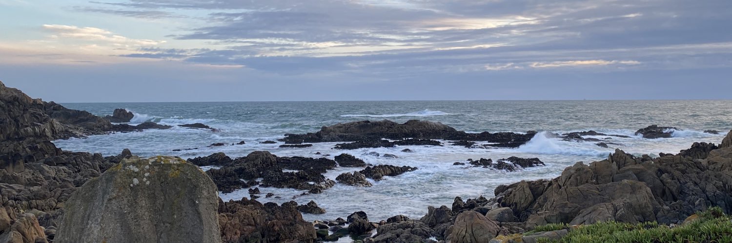 FilipaPinheiro_'s profile banner image