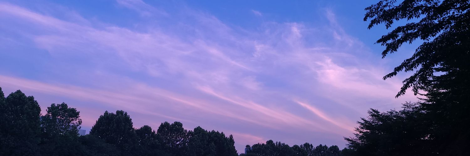 Fe_dolphin's profile banner image