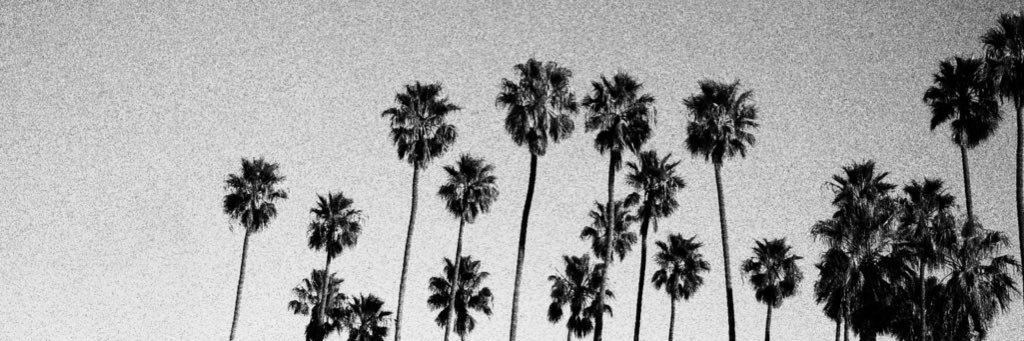 NickoCastro's profile banner image
