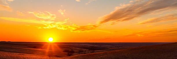 Deven Cole banner