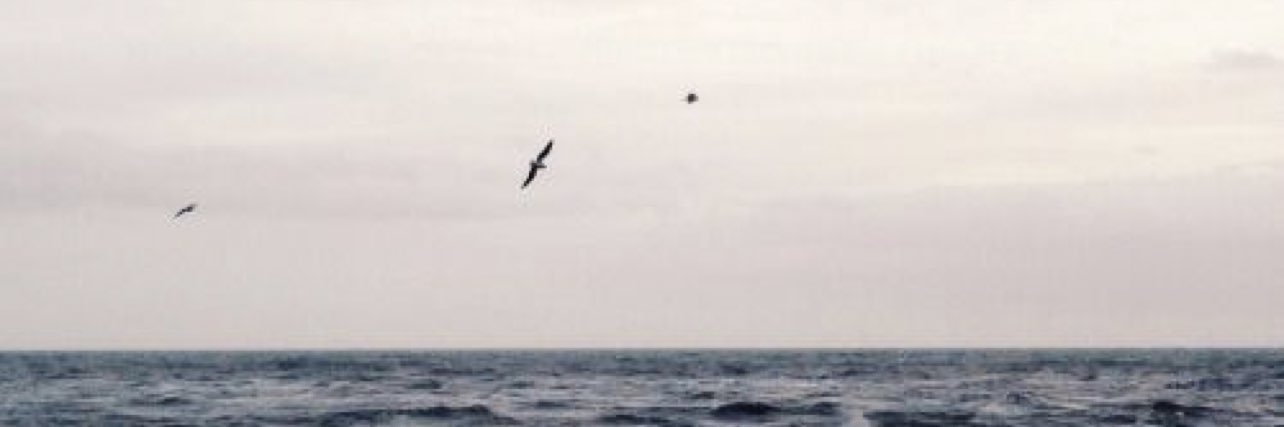 WTB__'s profile banner image