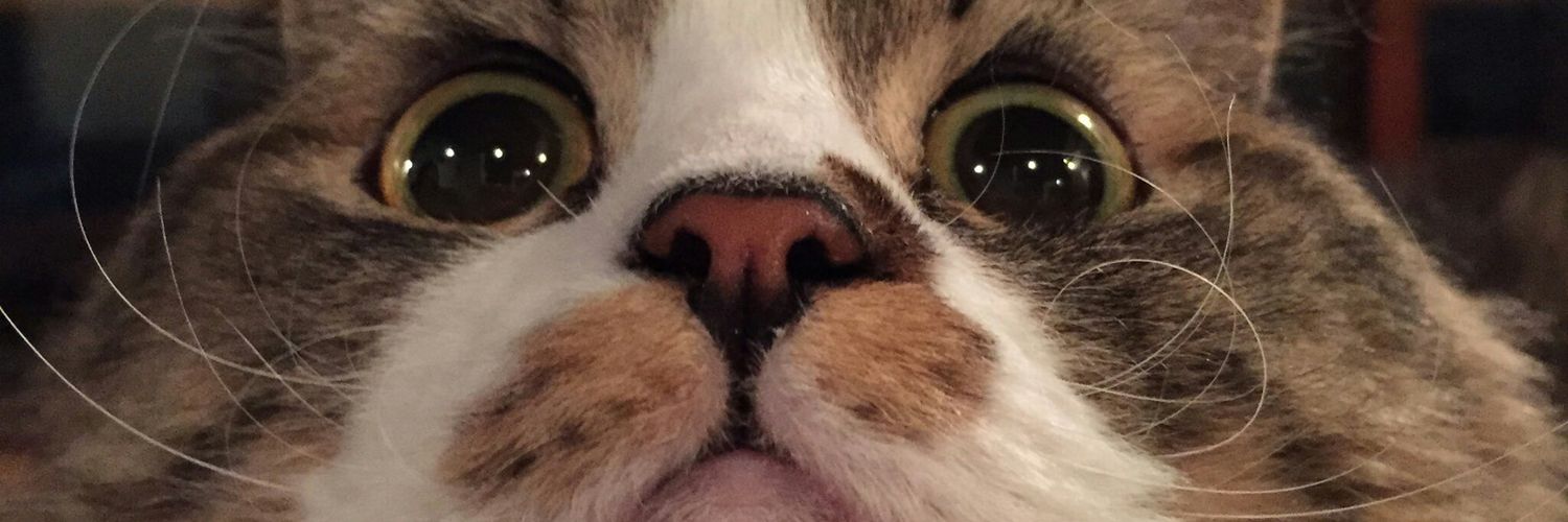 inter_change602's profile banner image