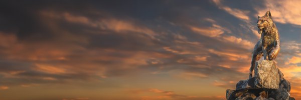 STUPrez Profile Banner