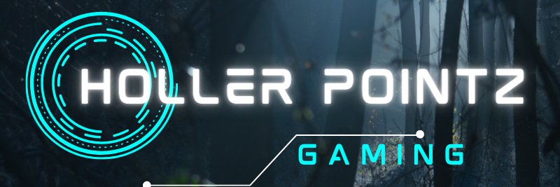 Holler PointZ banner