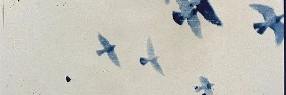 yu-an banner