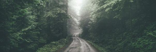 Gray_Dust_'s profile banner image