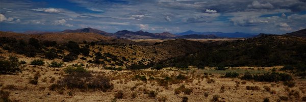 kneko Profile Banner