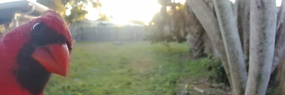 bxstephh's profile banner image