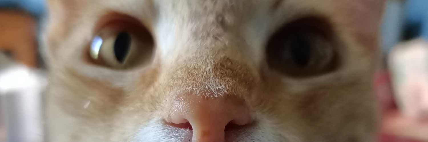 drmackie2000's profile banner image