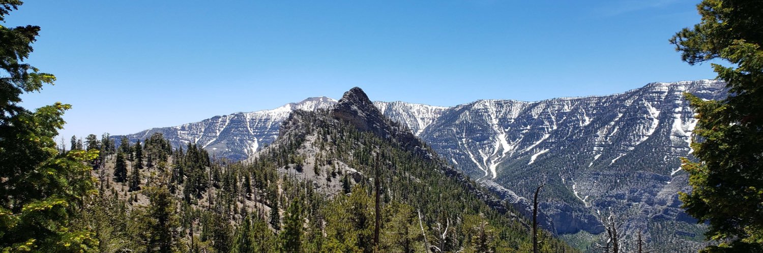 esoteric lion banner