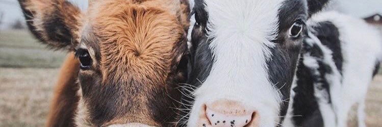 malloryalexaa's profile banner image