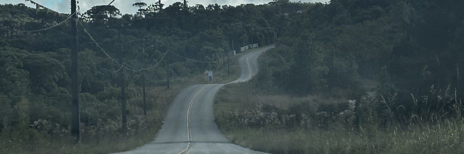 vitor banner